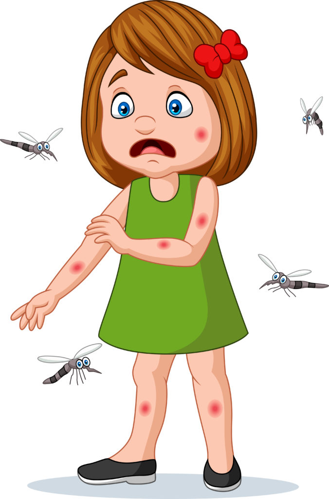 O que é a dengue